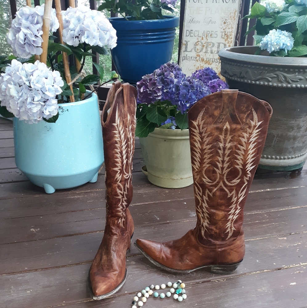 Gorgeous Old Gringo boots